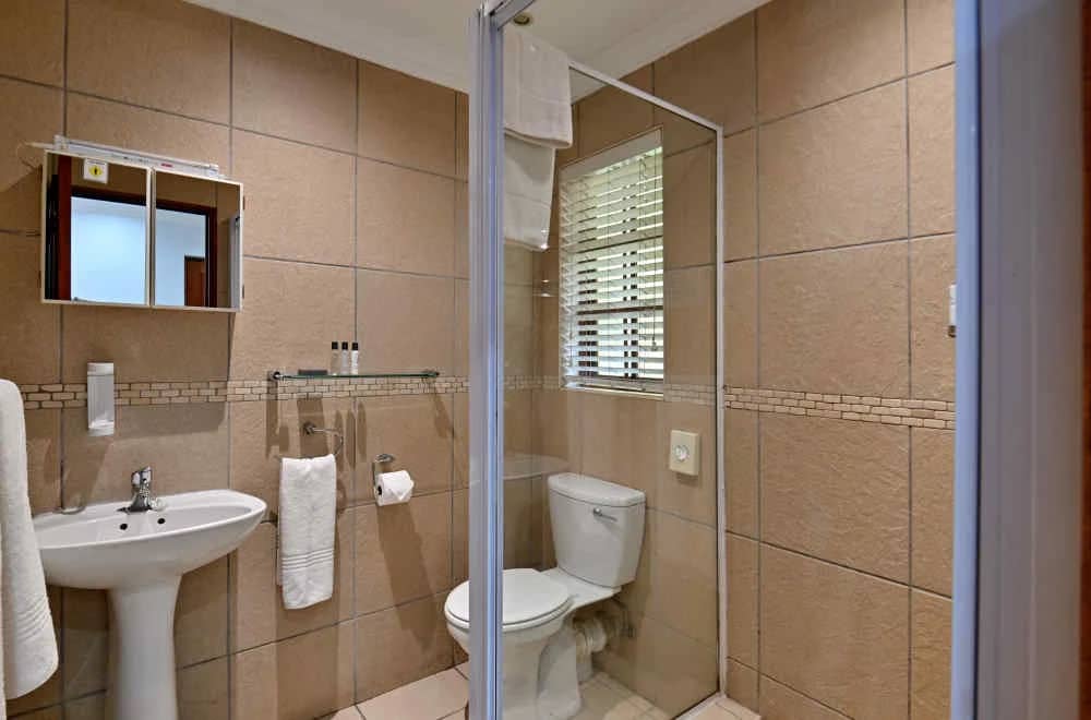 En-suite bathroom with a walk-in shower, basin and toilet