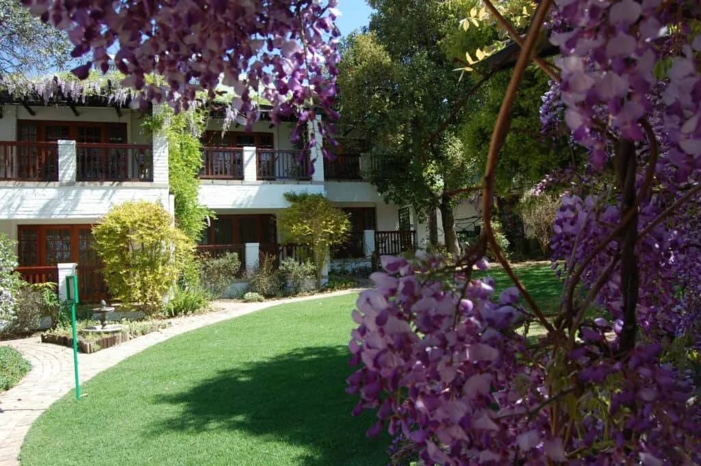The garden in spring, wisteria in flower in front of the rooms